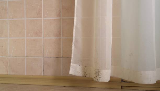 Best Mold-Related Health Consultation  in Athens, GA