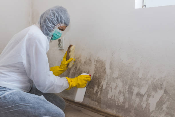 Best Crawl Space Mold Remediation  in Athens, GA
