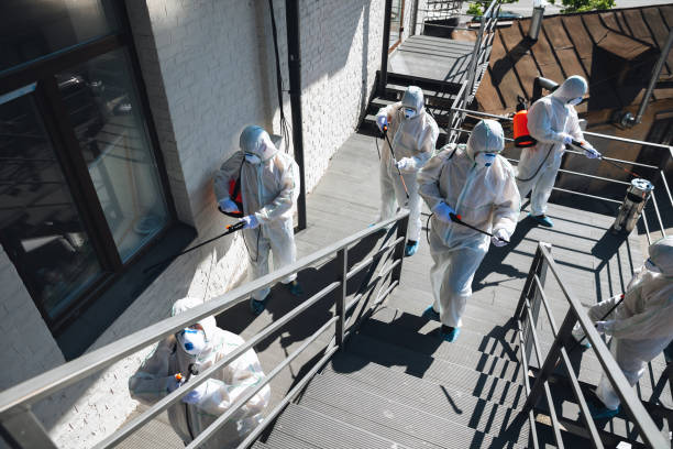 Best Forensic Mold Investigation  in Athens, GA
