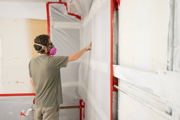 Best Asbestos and Lead Testing During Mold Inspection  in Athens, GA