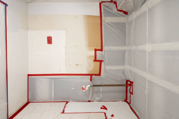 Best Black Mold Removal  in Athens, GA