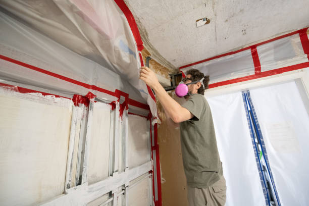 Best Post-Remediation Verification Testing  in Athens, GA
