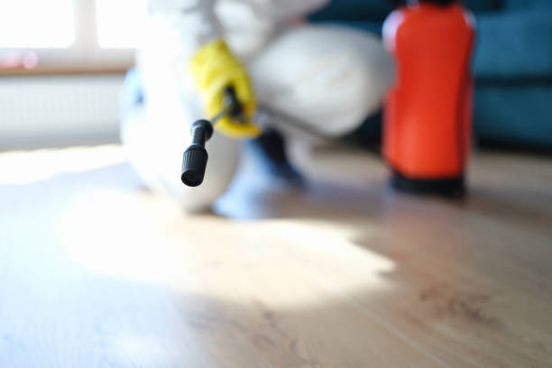 Best Industrial Mold Remediation  in Athens, GA