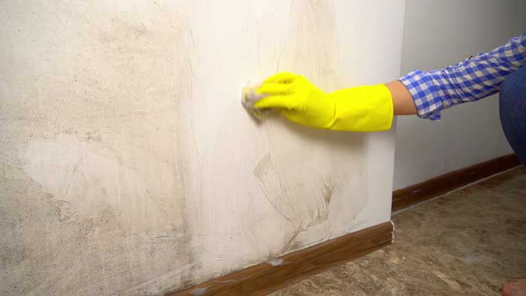Best Residential Mold Inspection & Testing  in Athens, GA