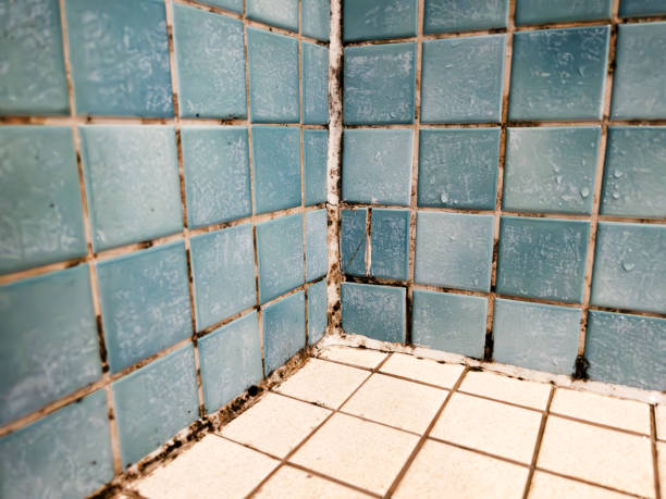 Best Air Quality Testing for Mold Spores  in Athens, GA