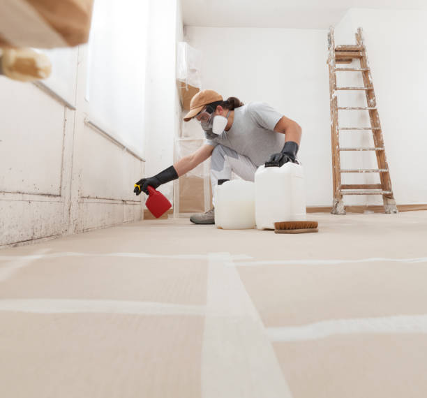 Mold Documentation for Insurance Claims in Athens, GA
