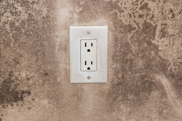 Best Mold Documentation for Insurance Claims  in Athens, GA
