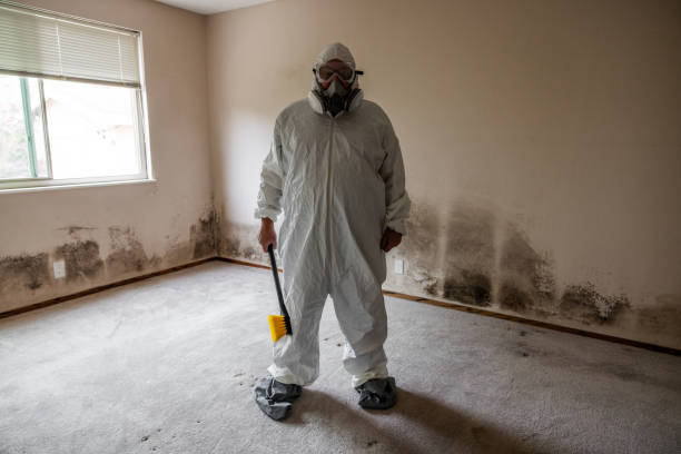 Best Comprehensive Air Testing for Mold Contaminants  in Athens, GA